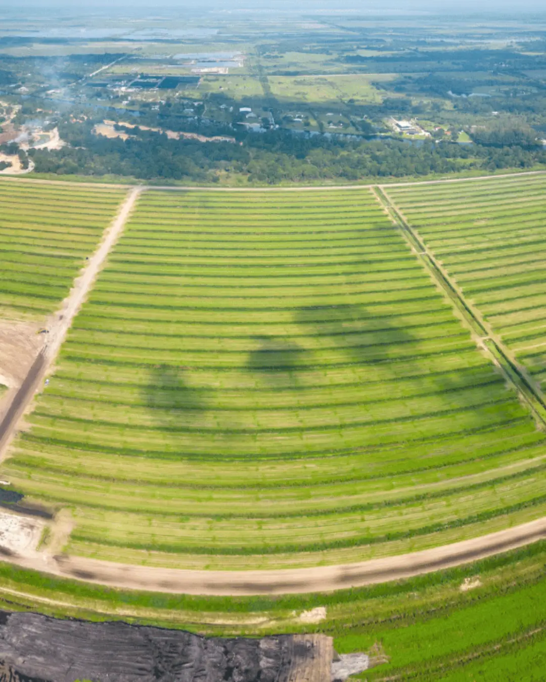 Aerial photograph of curved rows of crops across Florida farmland by Drone Permission
