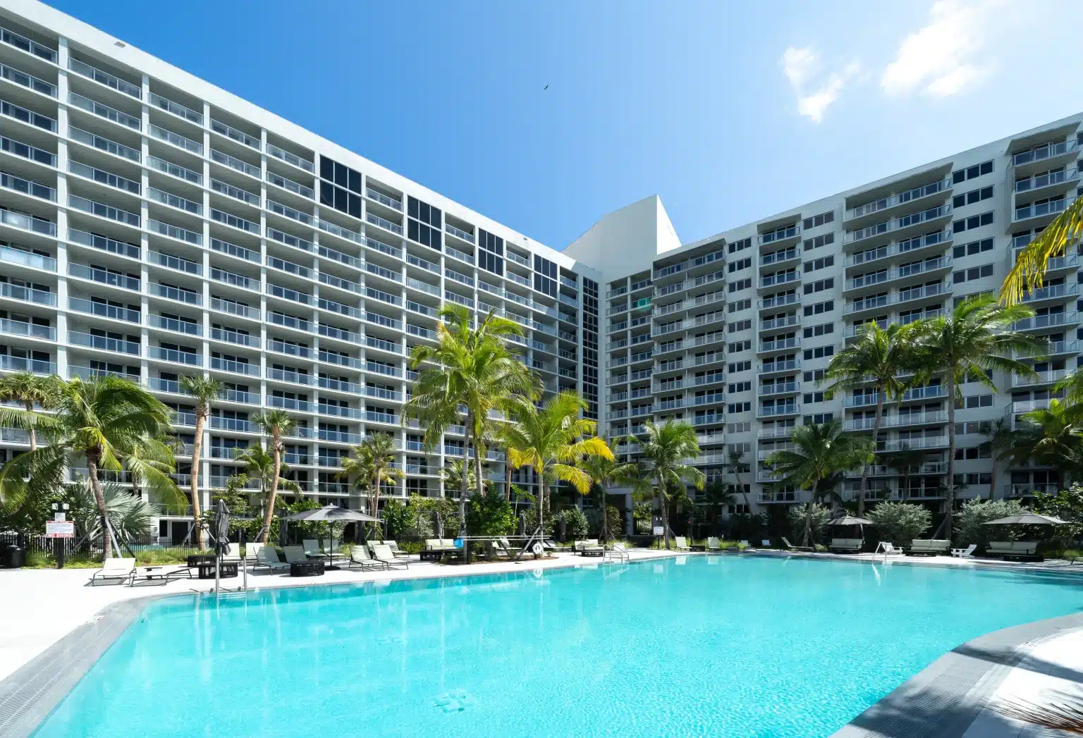 Resort-style pool with palm trees framed by the residential towers of Flamingo Point in Miami Beach